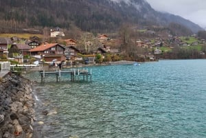 Zurich: Lungern, Brienz, Thun, Blausee, & Oeschinen Day Trip