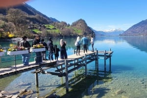 Zurich: Lungern, Brienz, Thun, Blausee, & Oeschinen Day Trip
