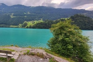 Zürich: Tagestour nach Lungern, Brienz, Thun, Blausee und Oeschinen