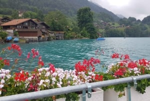 Zürich: Tagestour nach Lungern, Brienz, Thun, Blausee und Oeschinen