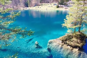 Zürich: Tagestour nach Lungern, Brienz, Thun, Blausee und Oeschinen