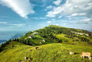 Zurich: Mount Rigi Day & Lucerne cable car, train and cruise