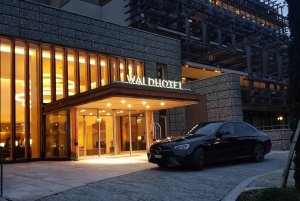 Zürich: Privater Flughafentransfer (Einweg)