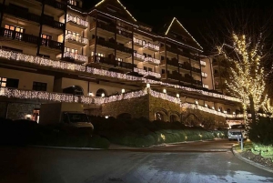 Zürich: Privater Flughafentransfer (Einweg)