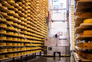 Zürich Open-top Tour og chokolade- og ostelandskab