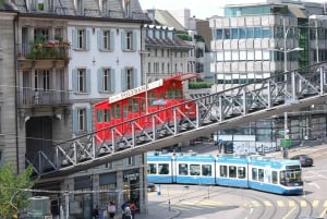 Swiss Travel Pass-turer – tilpassbar reiserute – privat guide