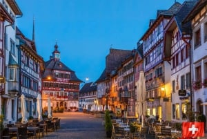 Zürich: Premium guidet tur til Rhinenfaldet og Stein am Rhein