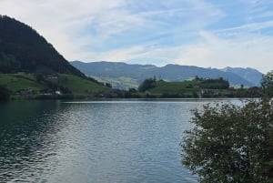 Цюрих: частный тур в Интерлакен и Гриндельвальд