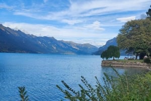 Цюрих: частный тур в Интерлакен и Гриндельвальд