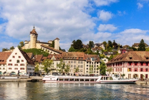 Zurique: Tour particular de carro - Cataratas do Reno, Titisee e Floresta Negra