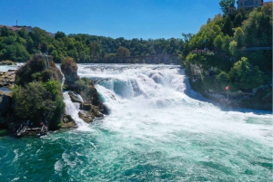 Zurique: Tour particular de carro - Cataratas do Reno, Titisee e Floresta Negra