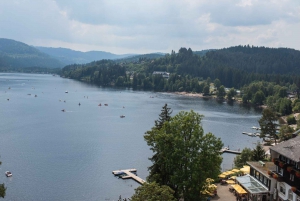 Zurique: Tour particular de carro - Cataratas do Reno, Titisee e Floresta Negra