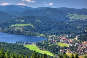 Zurique: Tour particular de carro - Cataratas do Reno, Titisee e Floresta Negra