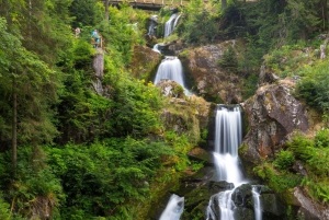 Zurique: Tour particular de carro - Cataratas do Reno, Titisee e Floresta Negra