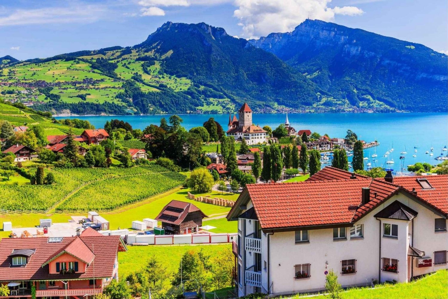 Zurigo: Tour privato in auto della capitale svizzera, dei castelli e dei laghi