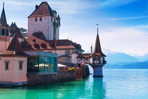 Zürich: Private Car Tour to Swiss Capital, Castles & Lakes