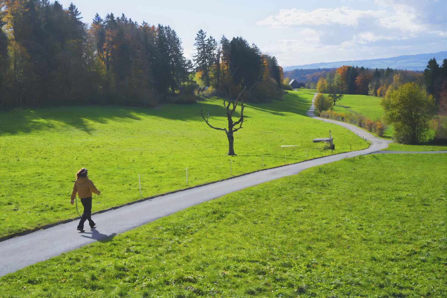 Zurych: prywatna wycieczka po mieście ze zdjęciami i przejazdem kolejką linową