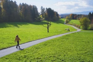 Zurych: prywatna wycieczka po mieście ze zdjęciami i przejazdem kolejką linową