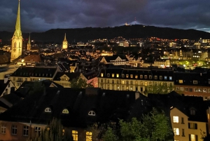 Zürich: Private Costumized Tour with Local Expert Tourguide