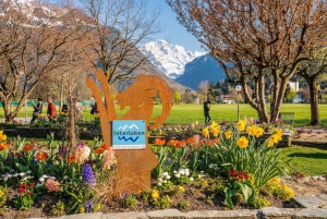 Zúrich: tour privado de un día al valle de las cascadas y a Interlaken.