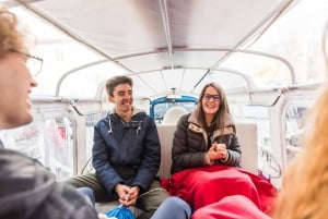 Zürich: Privat byomvisning med eTukTuk