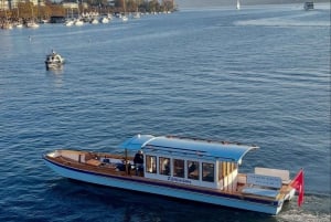 Zurych: Wycieczka z przewodnikiem prywatną łodzią