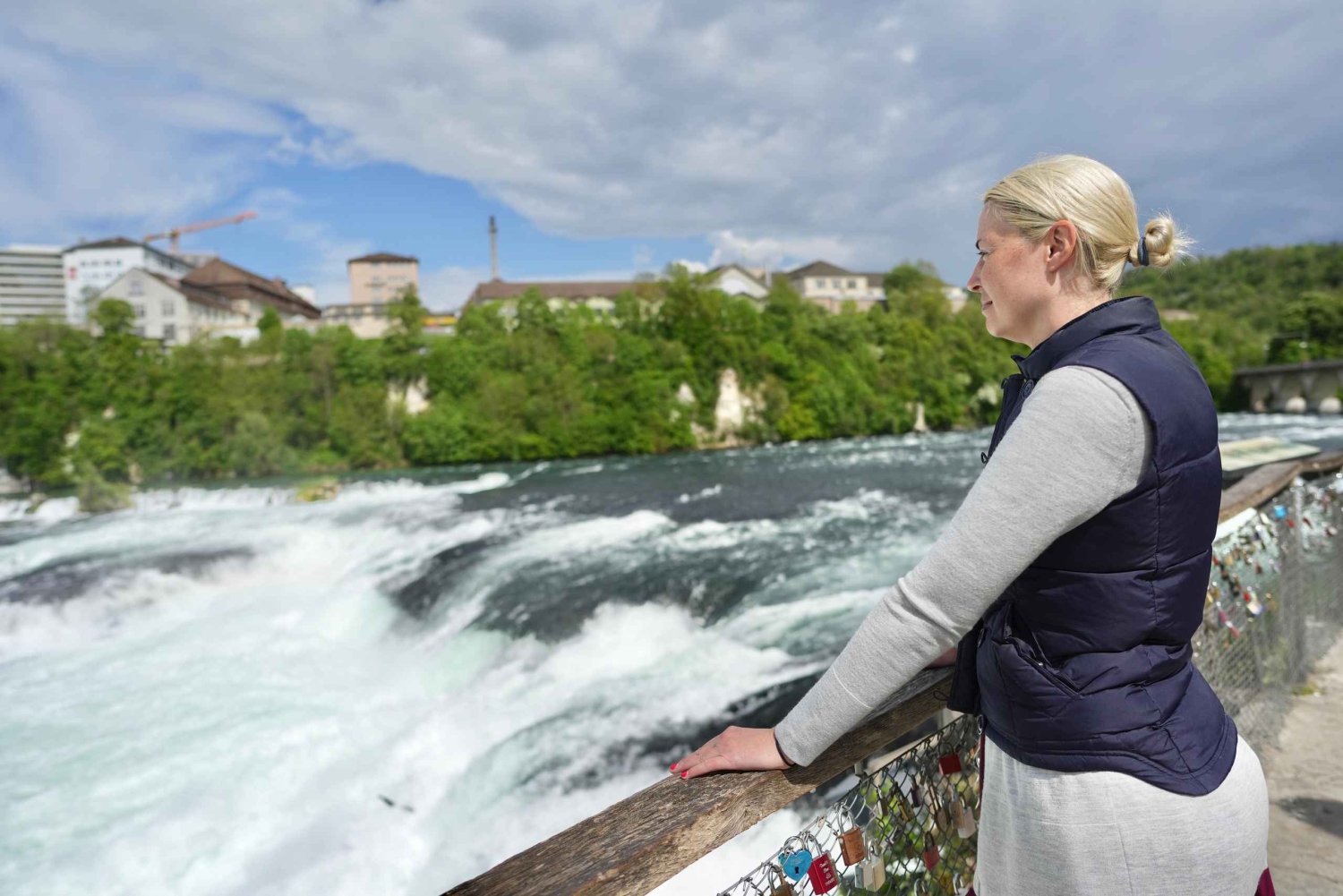 Zürich: privétour van een halfdag naar de Rijnwaterval met een lokale gids