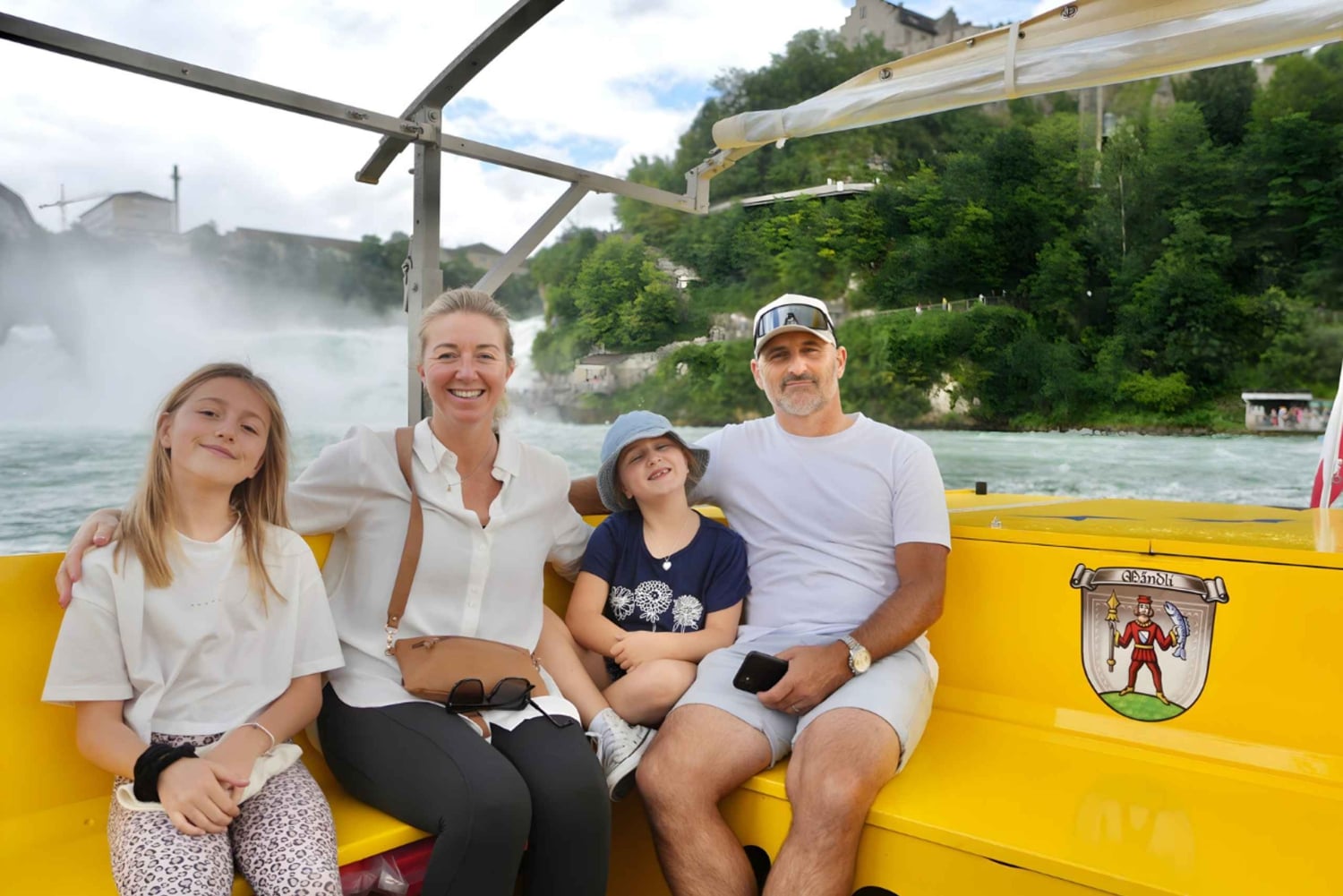 Zürich: Privat halvdagsutflukt til Rhinfossen med lokal guide