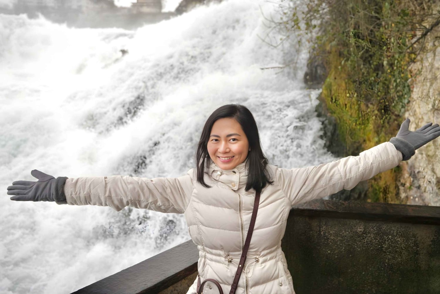 Zürich: Privat halvdagsutflukt til Rhinfossen med lokal guide