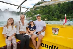 Zürich: Privat halvdagsutflukt til Rhinfossen med lokal guide