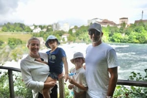 Zürich: Privat halvdagsutflukt til Rhinfossen med lokal guide