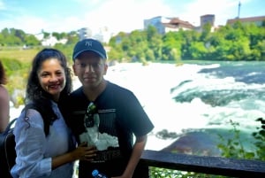 Zürich: Privat halvdagsutflukt til Rhinfossen med lokal guide