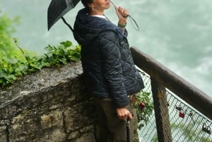 Zürich: Privat halvdagsutflukt til Rhinfossen med lokal guide