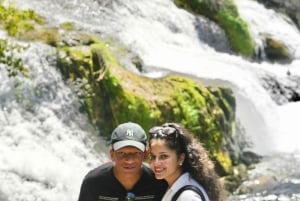 Zürich: Privat halvdagsutflukt til Rhinfossen med lokal guide