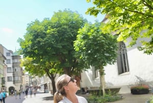 Zürich: Privat halvdagsutflukt til Rhinfossen med lokal guide