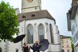 Zürich: Privat halvdagsutflukt til Rhinfossen med lokal guide