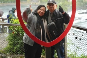 Zürich: Privat halvdagsutflukt til Rhinfossen med lokal guide