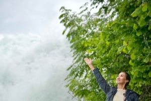 Zürich: Privat halvdagsutflukt til Rhinfossen med lokal guide