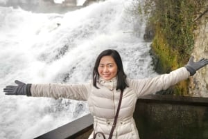 Zürich: Privat halvdagsutflukt til Rhinfossen med lokal guide