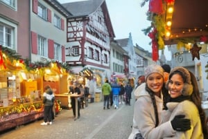 Zürich: Privat halvdagsutflukt til Rhinfossen med lokal guide