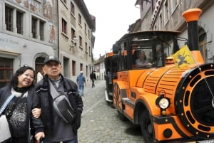 Zürich: Privat halvdagsutflukt til Rhinfossen med lokal guide