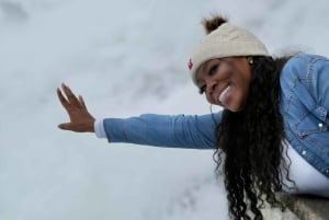 Zürich: Privat halvdagsutflukt til Rhinfossen med lokal guide