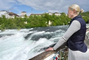 Zürich: Privat halvdagsutflukt til Rhinfossen med lokal guide
