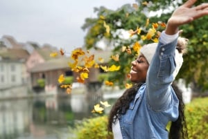 Zürich: Privat halvdagsutflukt til Rhinfossen med lokal guide