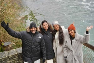 Zürich: Privat halvdagsutflukt til Rhinfossen med lokal guide