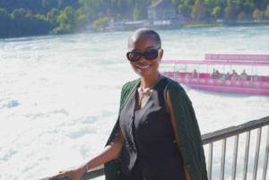 Zürich: Privat halvdagsutflukt til Rhinfossen med lokal guide