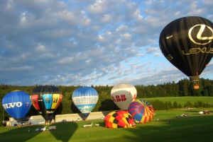 Zurich: Private Hot Air Balloon Ride & Champagne