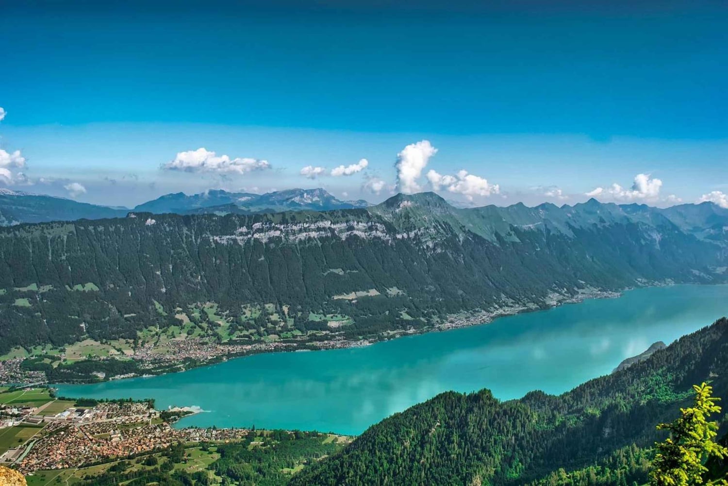 Zürich: Private Tour nach Interlaken und Grindelwald