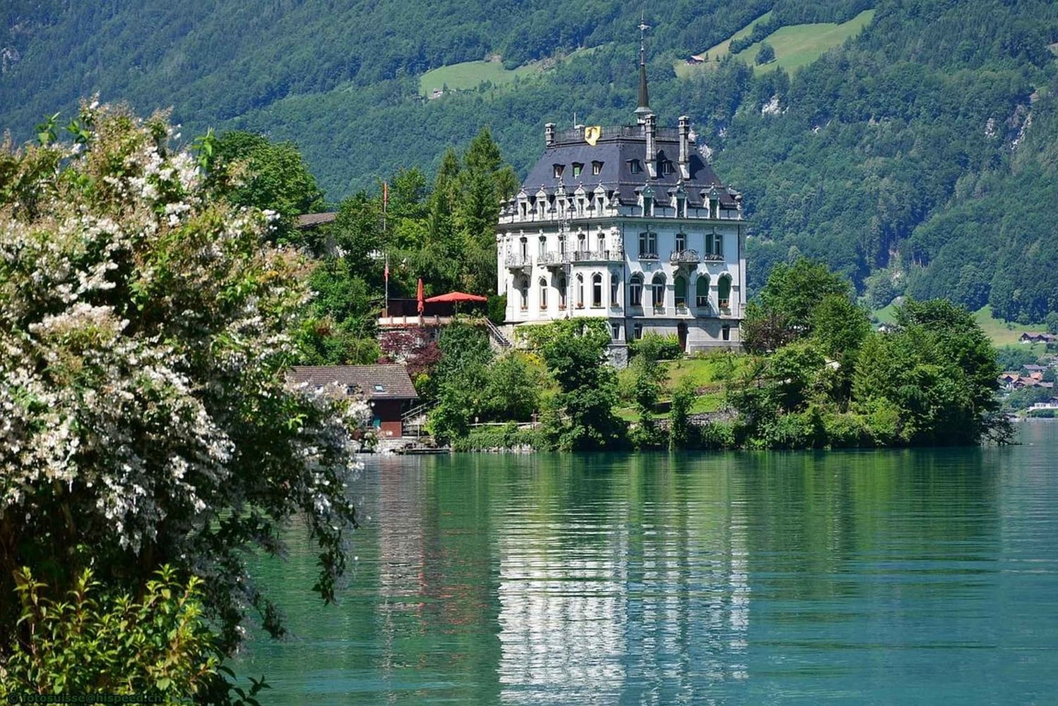 Zürich: Private Tour nach Interlaken und Grindelwald
