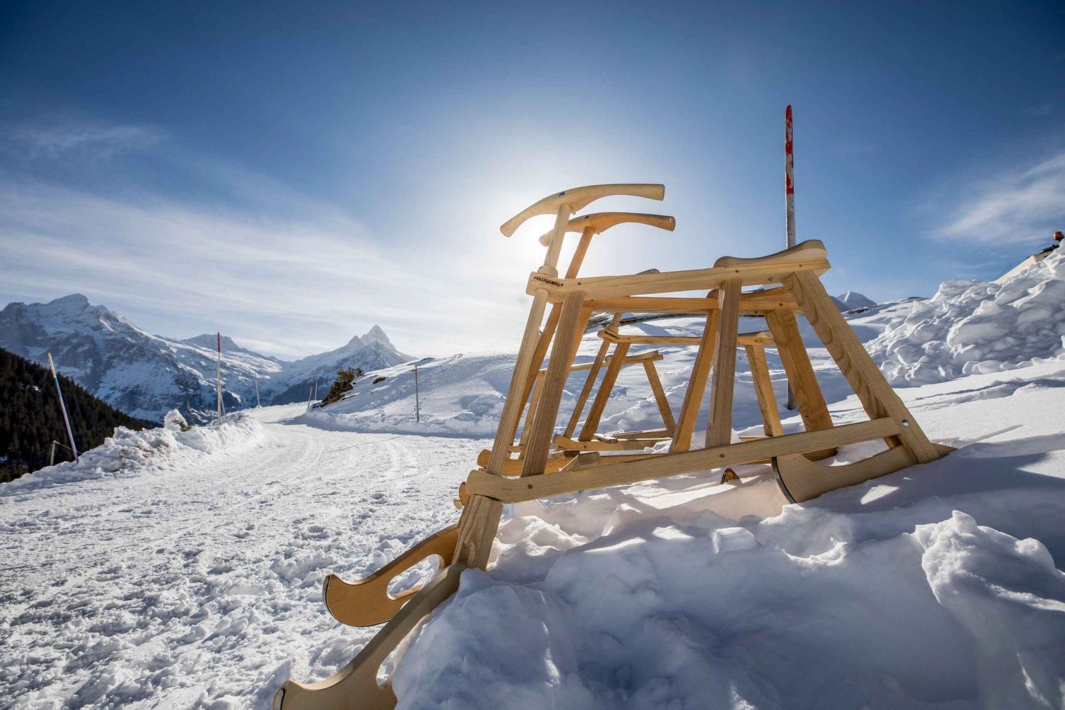 Zurich: Private Jungfraujoch & Thrilling Velogemel Adventure